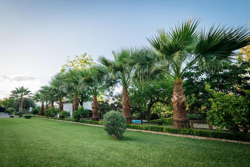 Photo of Outdoor in Padul