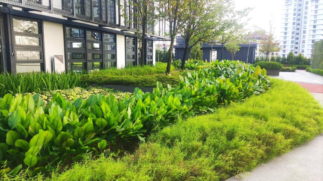 Photo of Outdoor in Kuala Lumpur