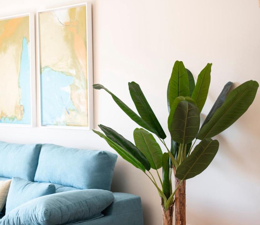 Photo of Livingroom in Figares