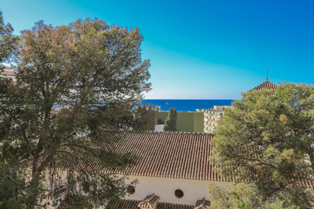 Photo of Others in La Herradura