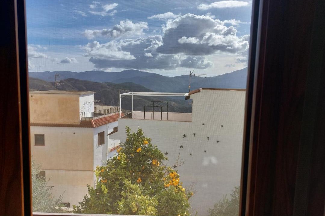 Photo of Others in Soportujar