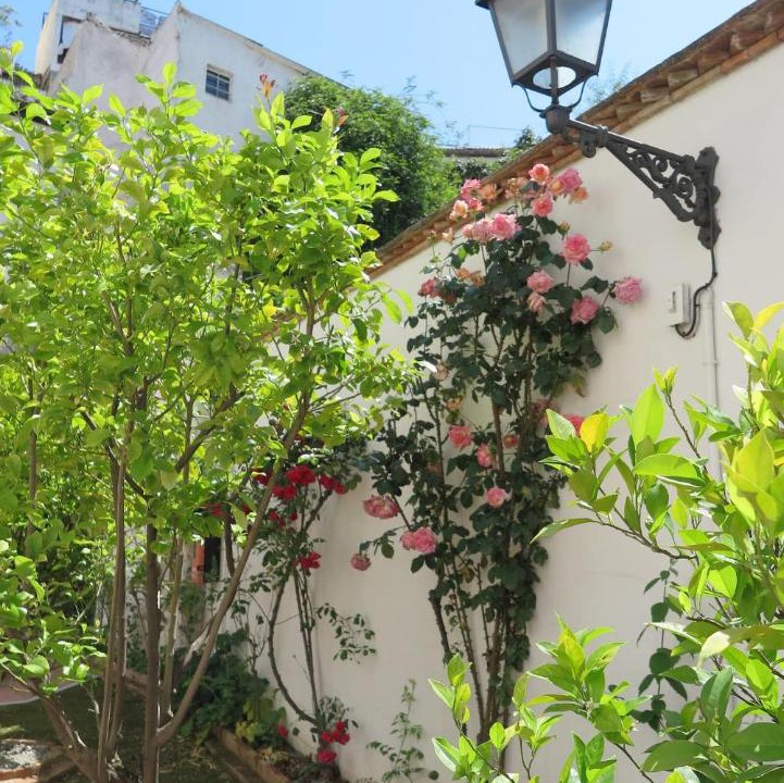 Photo of Others in Sacromonte