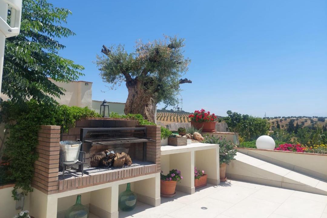 Photo of Patio Balcony in Alomartes