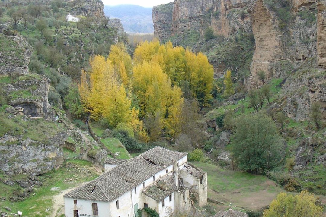 Photo of Others in Loja