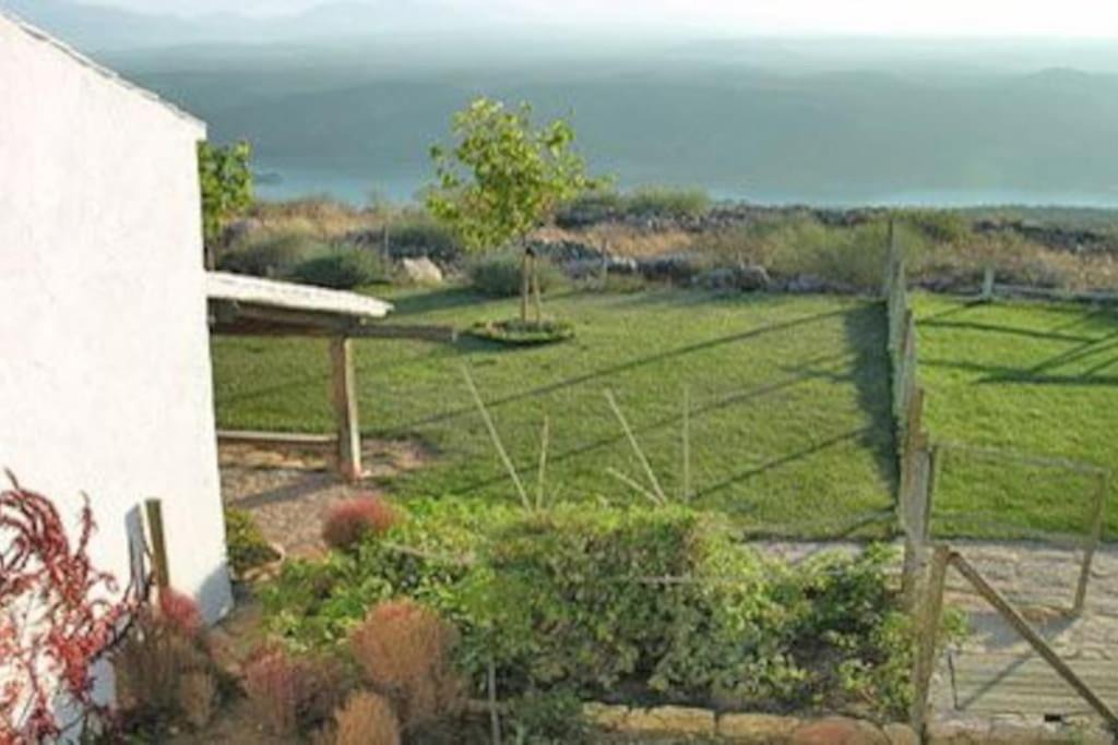 Photo of Others in Algarinejo