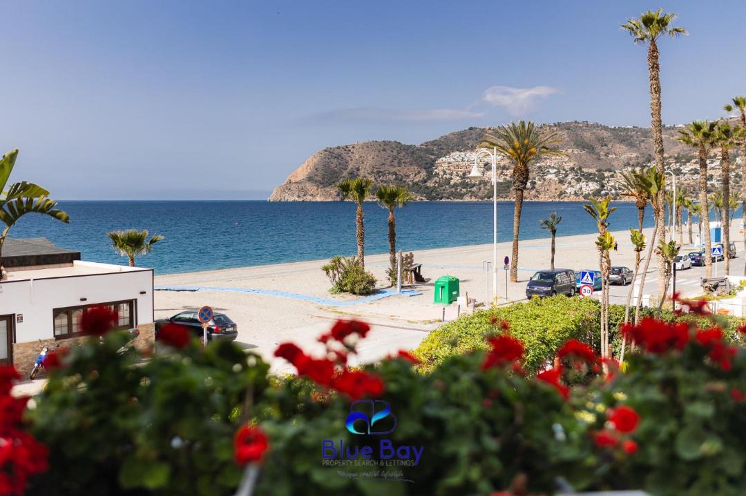 Photo of Others in La Herradura