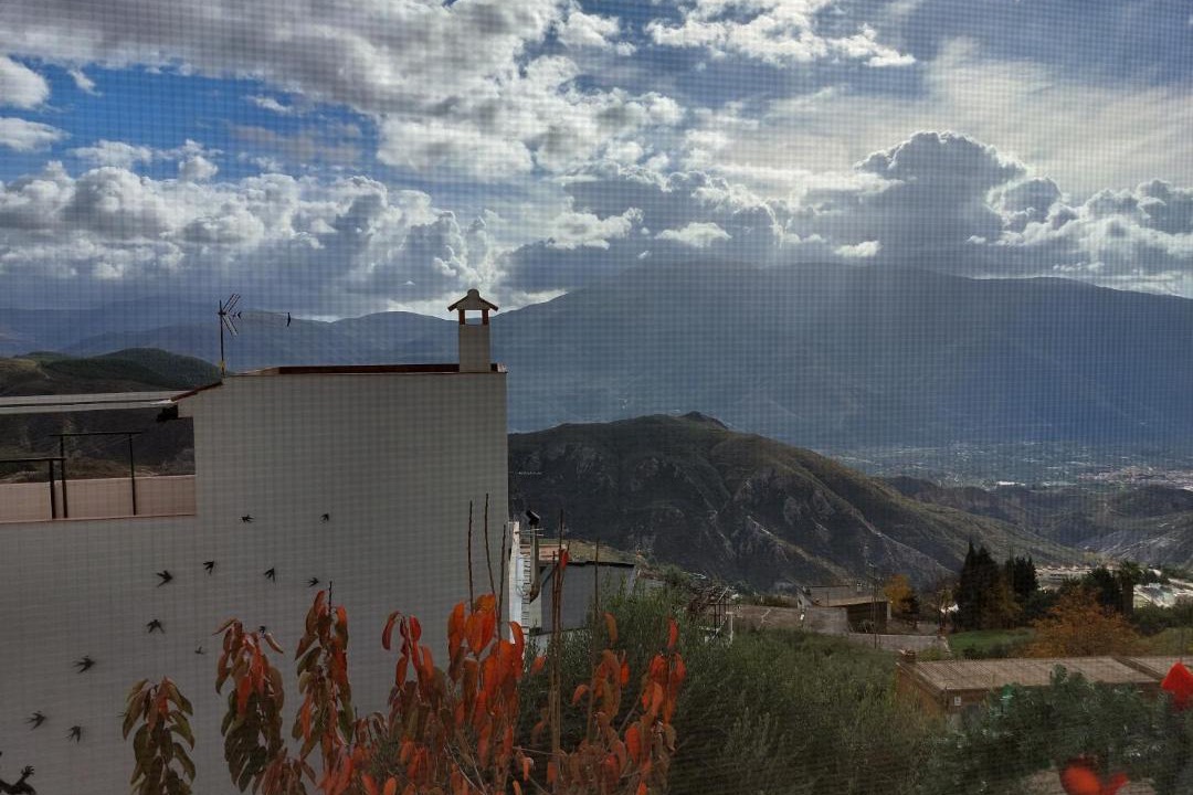 Photo of Others in Soportujar