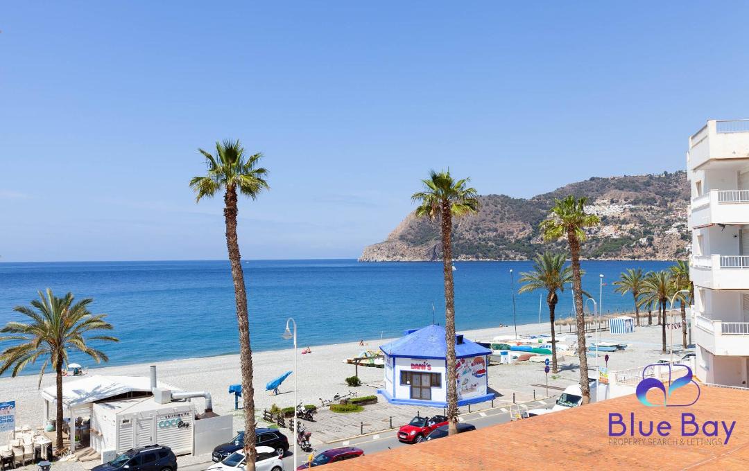 Photo of Others in La Herradura