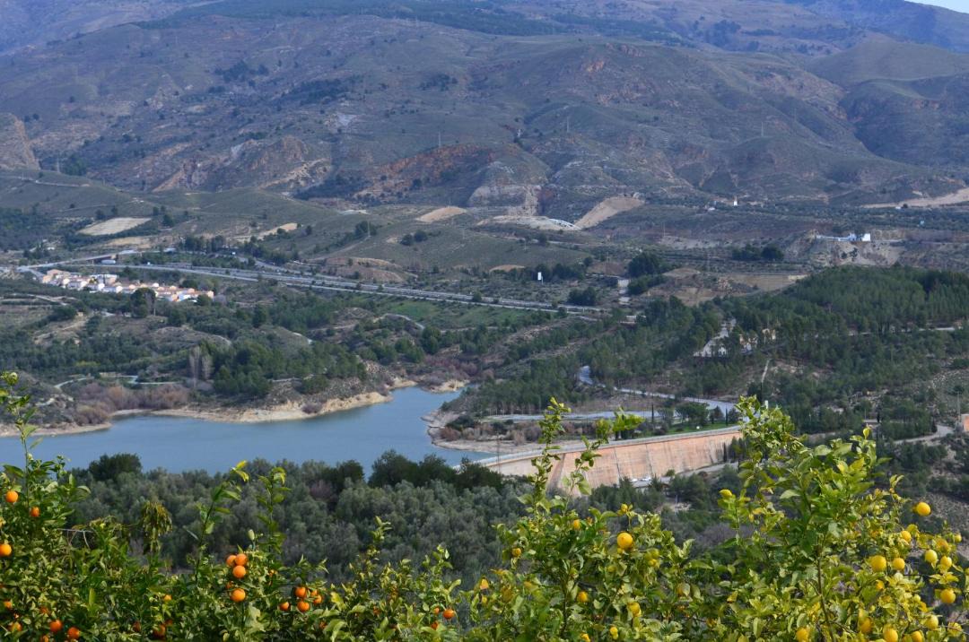 Photo of Others in El Pinar