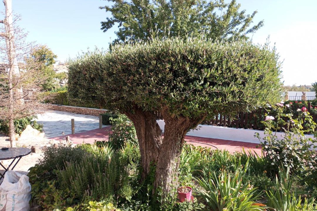 Photo of Others in Baza