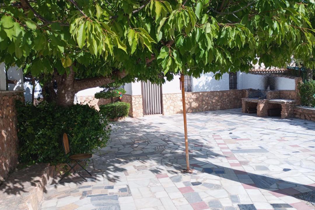 Photo of Others in Baza