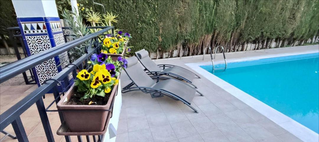 Photo of Patio Balcony in Padul