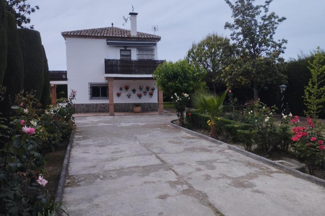 Photo of Others in Camino de Ronda