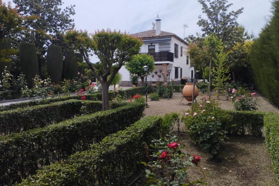 Photo of Others in Camino de Ronda