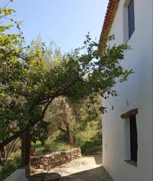 Photo of Others in Orgiva