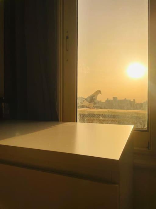 Photo of Others in New Cairo