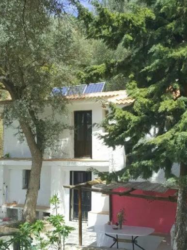 Photo of Others in Lanjaron