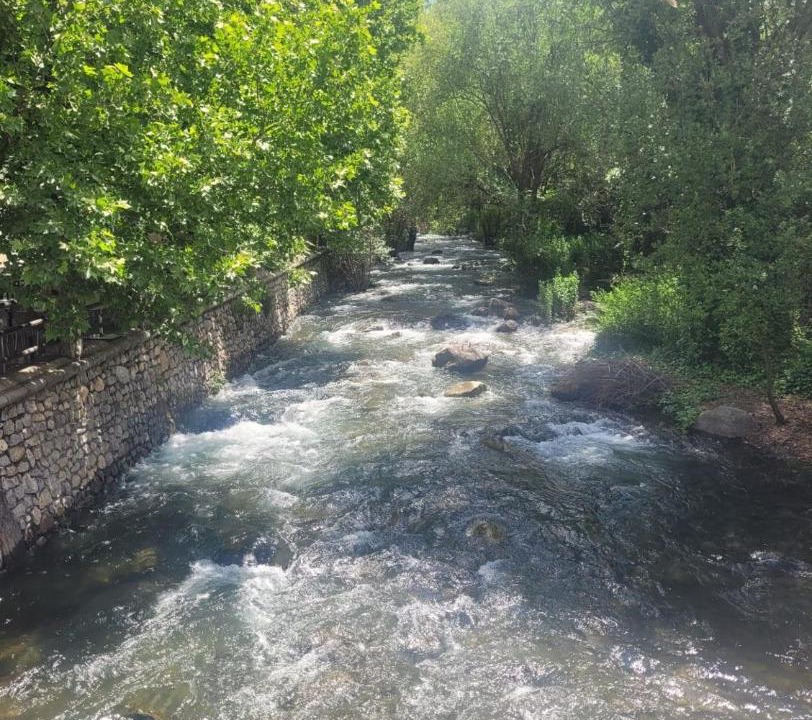 Photo of Others in Pinos Genil