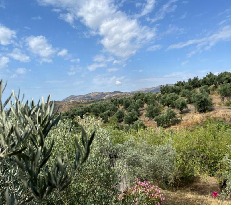 Photo of Others in Lanjaron