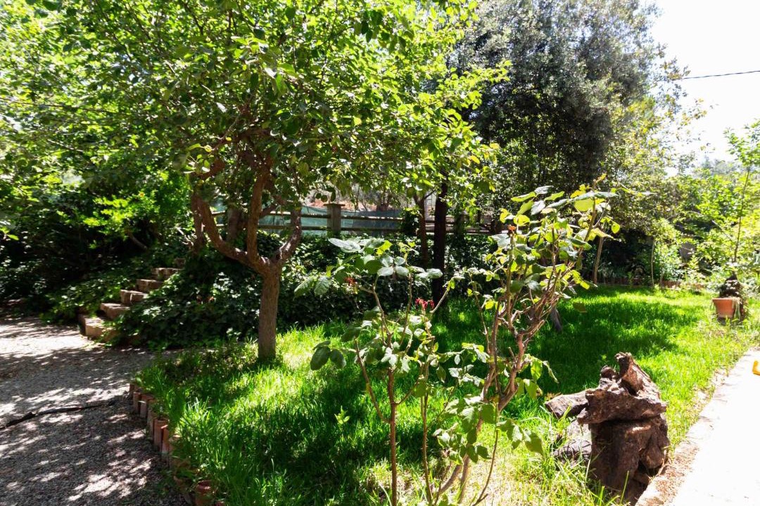 Photo of Outdoor in Niguelas