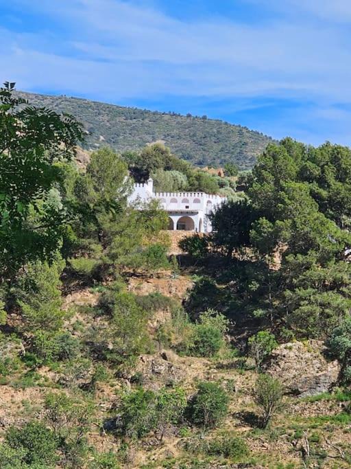 Photo of Others in Velez de Benaudalla