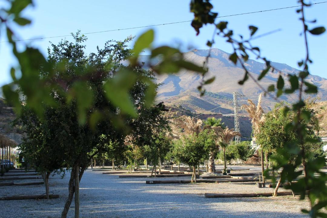 Photo of Outdoor in Gualchos
