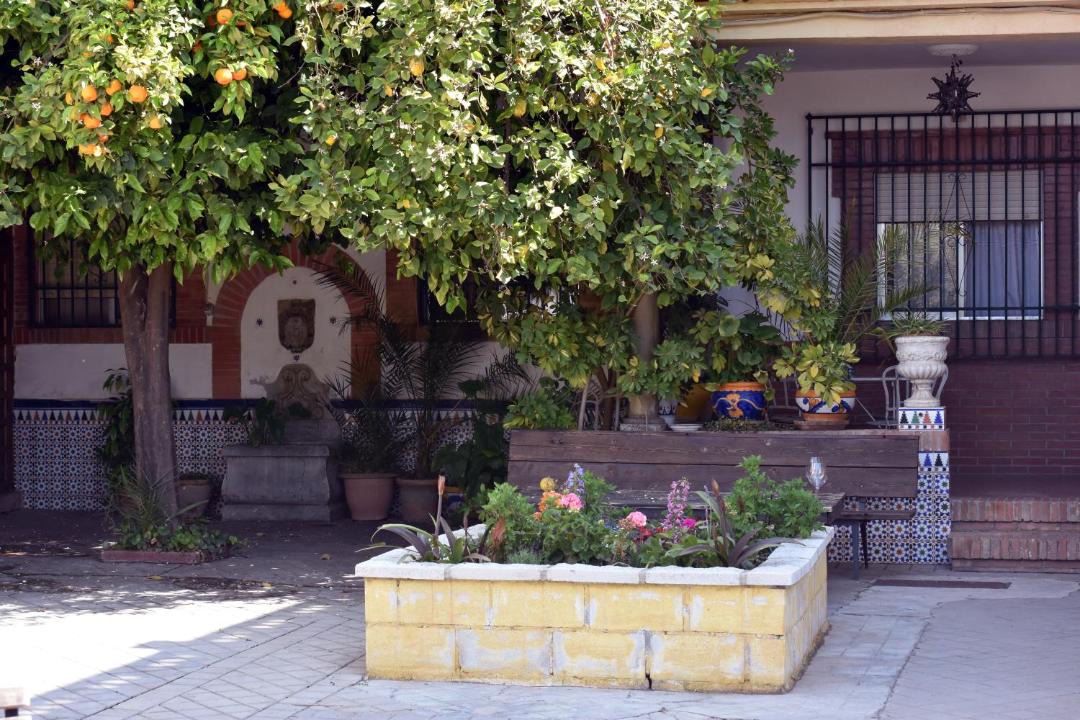 Photo of Others in Central District