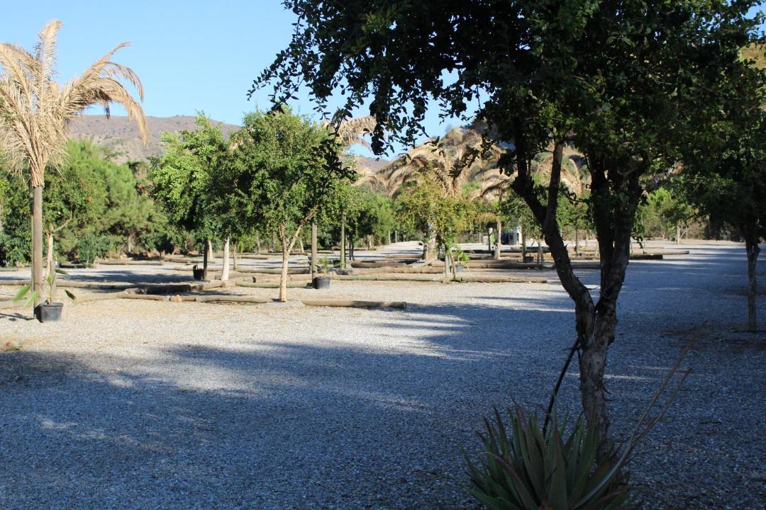 Photo of Outdoor in Gualchos
