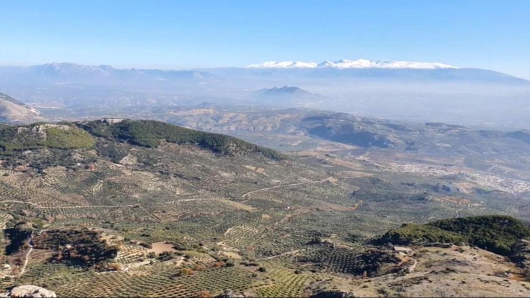 Photo of Others in Montefrio