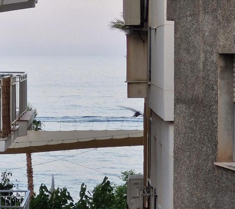 Photo of Others in Castell de Ferro