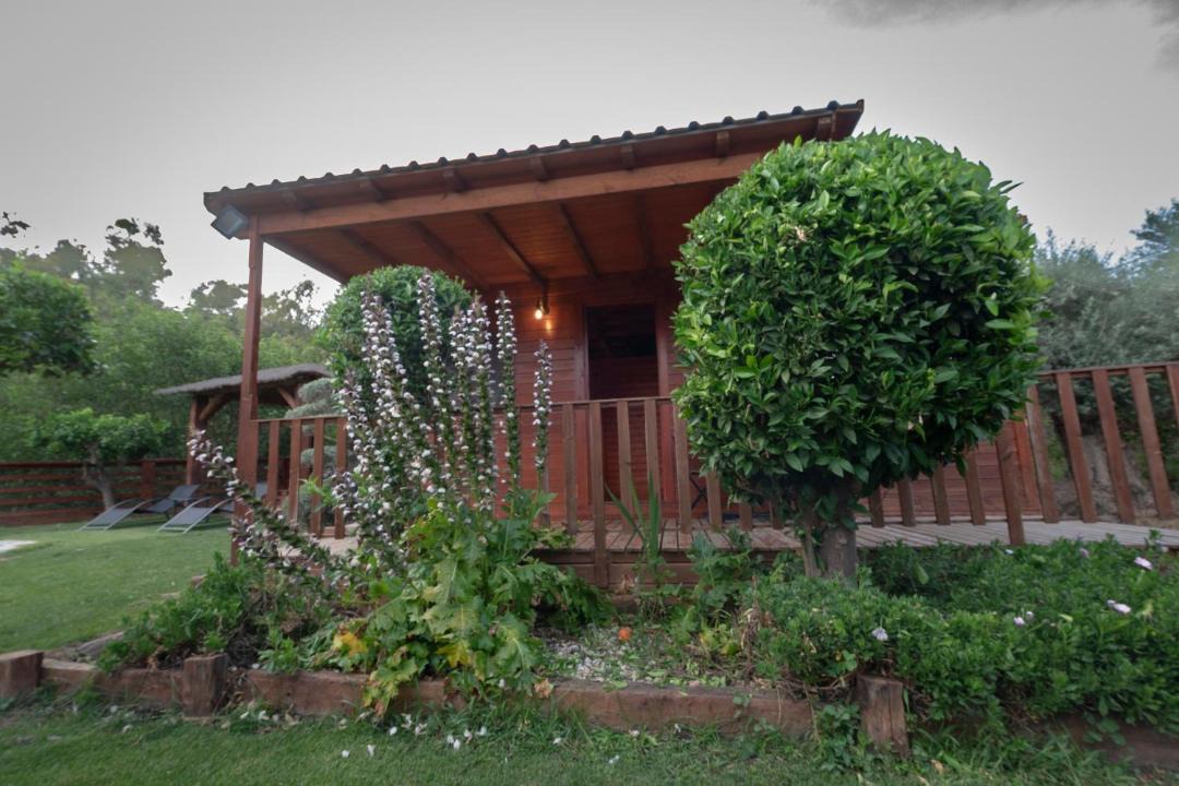 Photo of Others in Orgiva