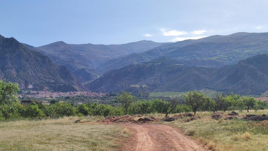 Photo of Outdoor in Murchas