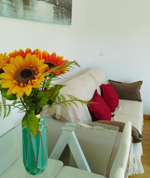 Photo of Livingroom in Fuente Vaqueros