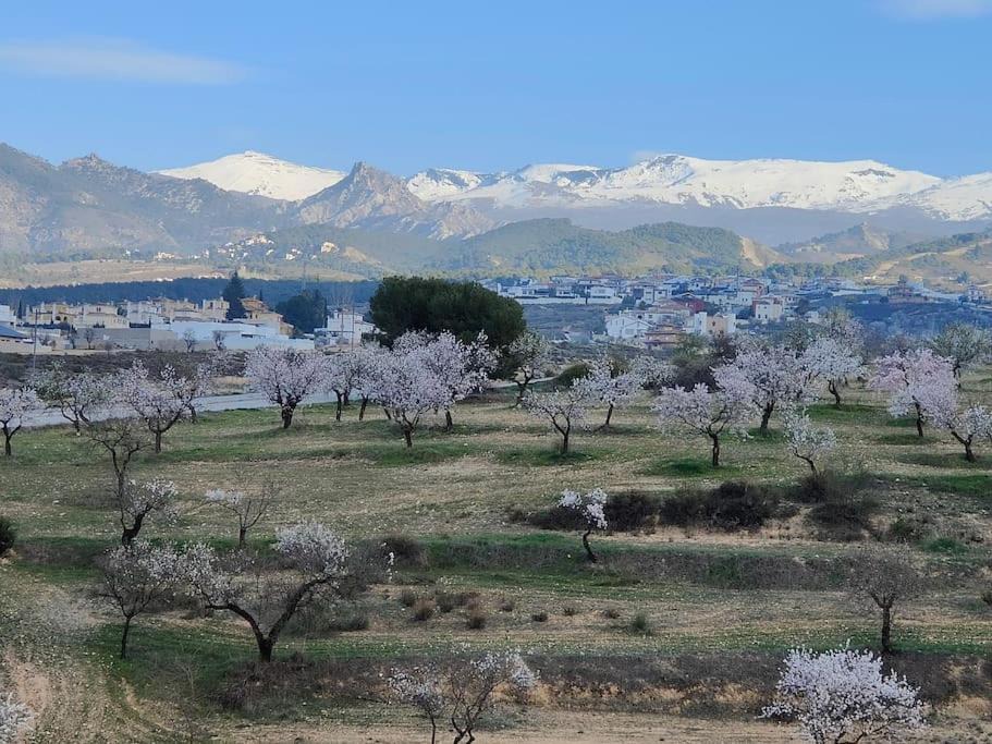 Photo of Others in Gojar