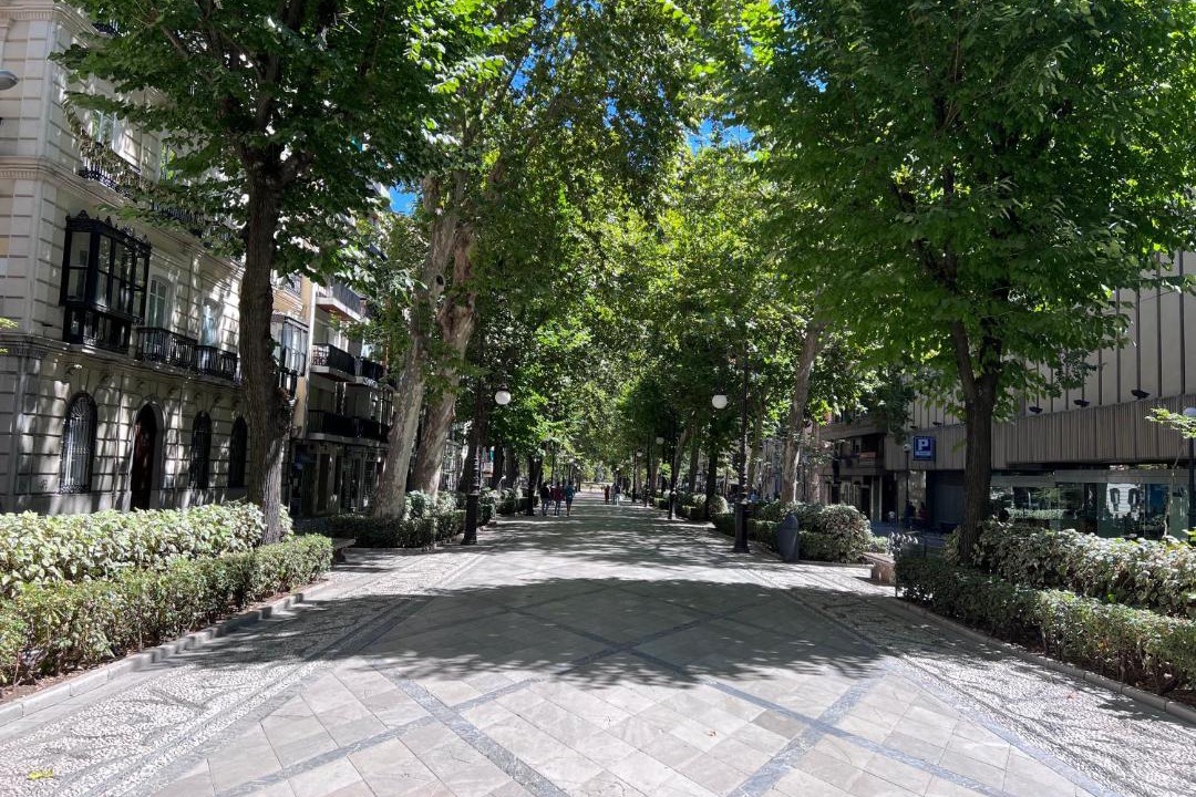 Photo of Others in Granada City Center