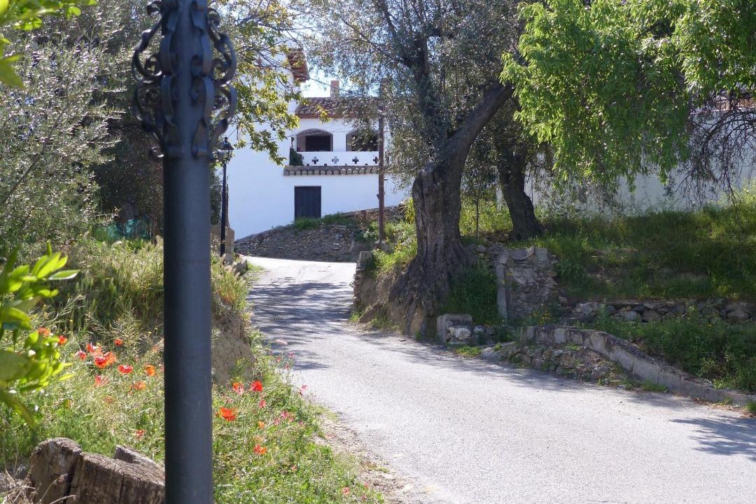 Photo of Others in Murchas