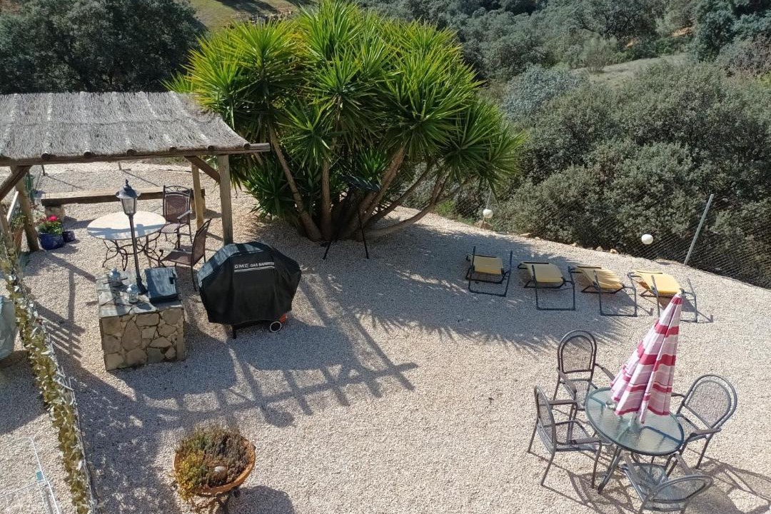 Photo of Others in Algarinejo