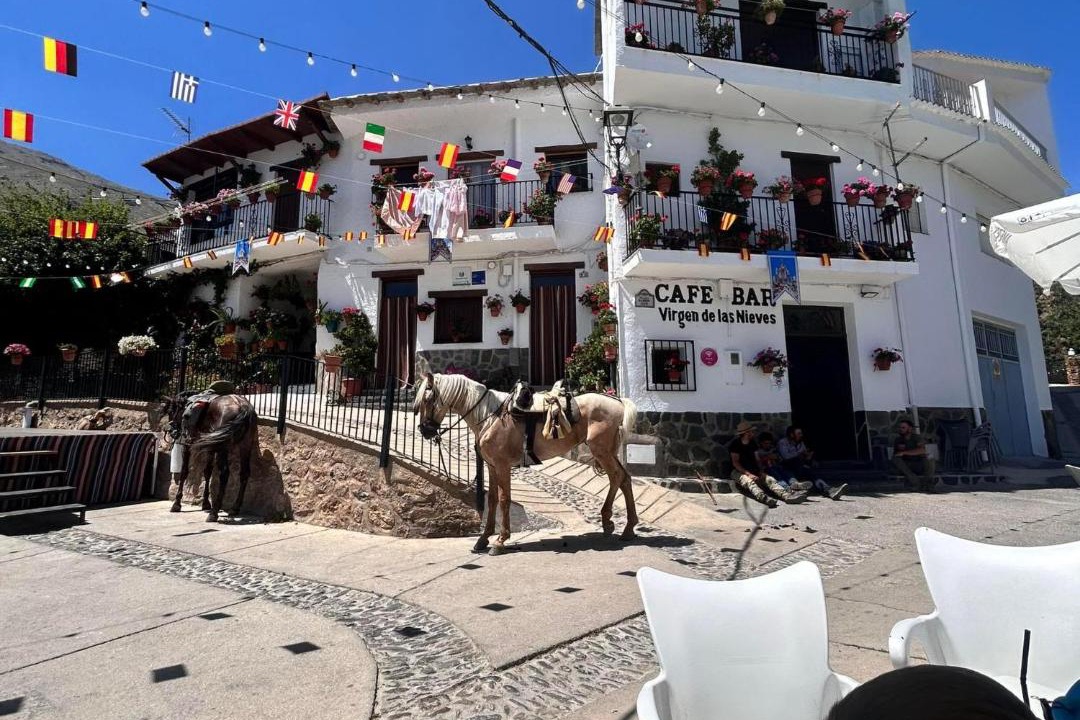 Photo of Others in Trevelez