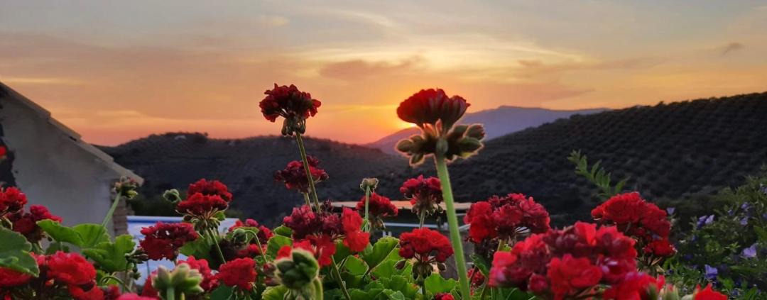 Photo of Others in Algarinejo