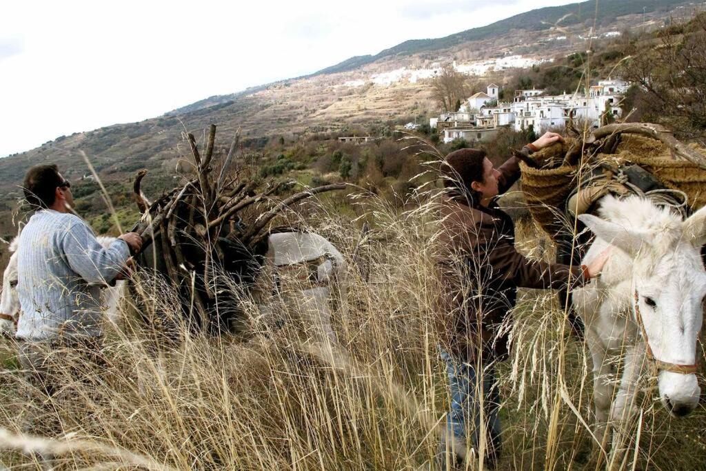 Photo of Others in Atalbeitar