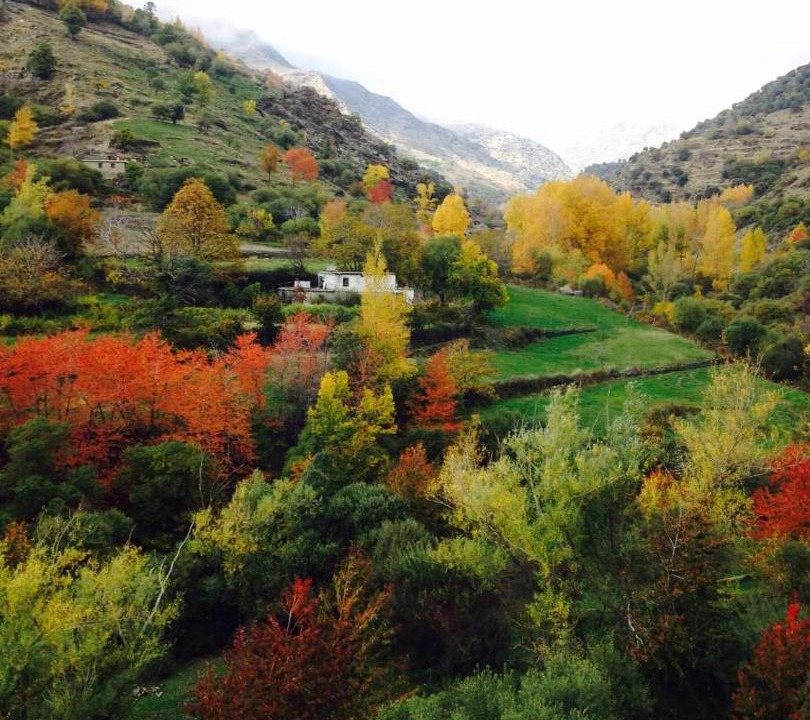 Photo of Others in Trevelez