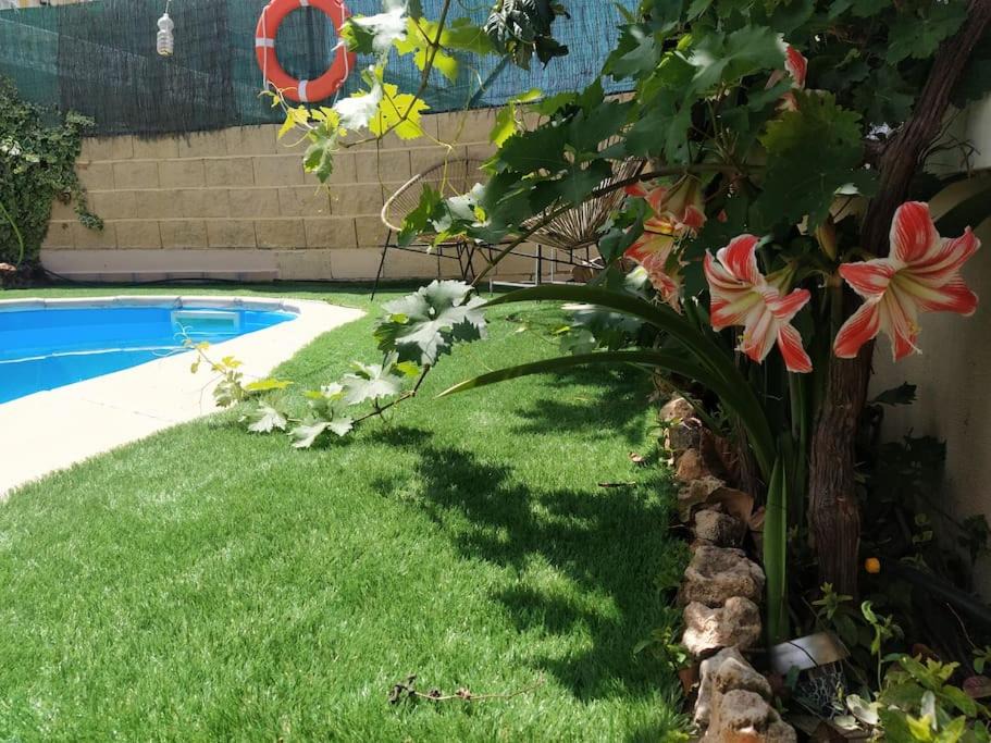 Photo of Outdoor in Jun