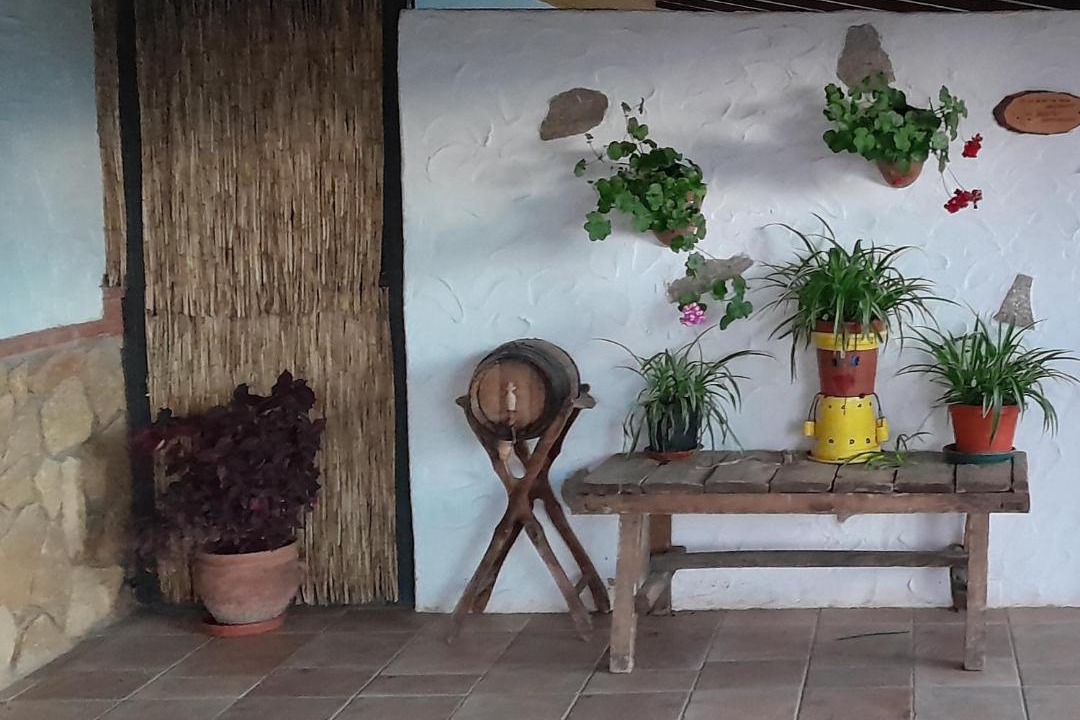 Photo of Others in Cogollos de Guadix