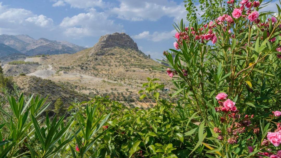 Photo of Outdoor in Castril