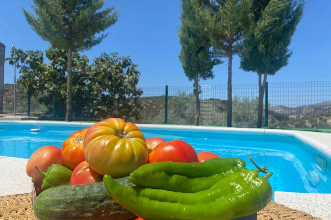 Photo of Others in Algarinejo