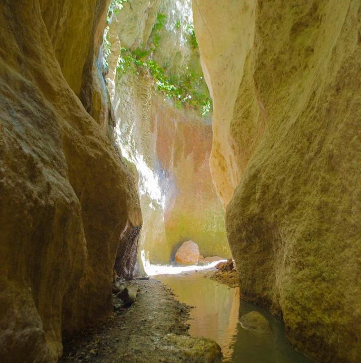 Photo of Others in El Valle