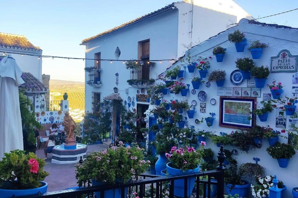 Photo of Others in La Paz