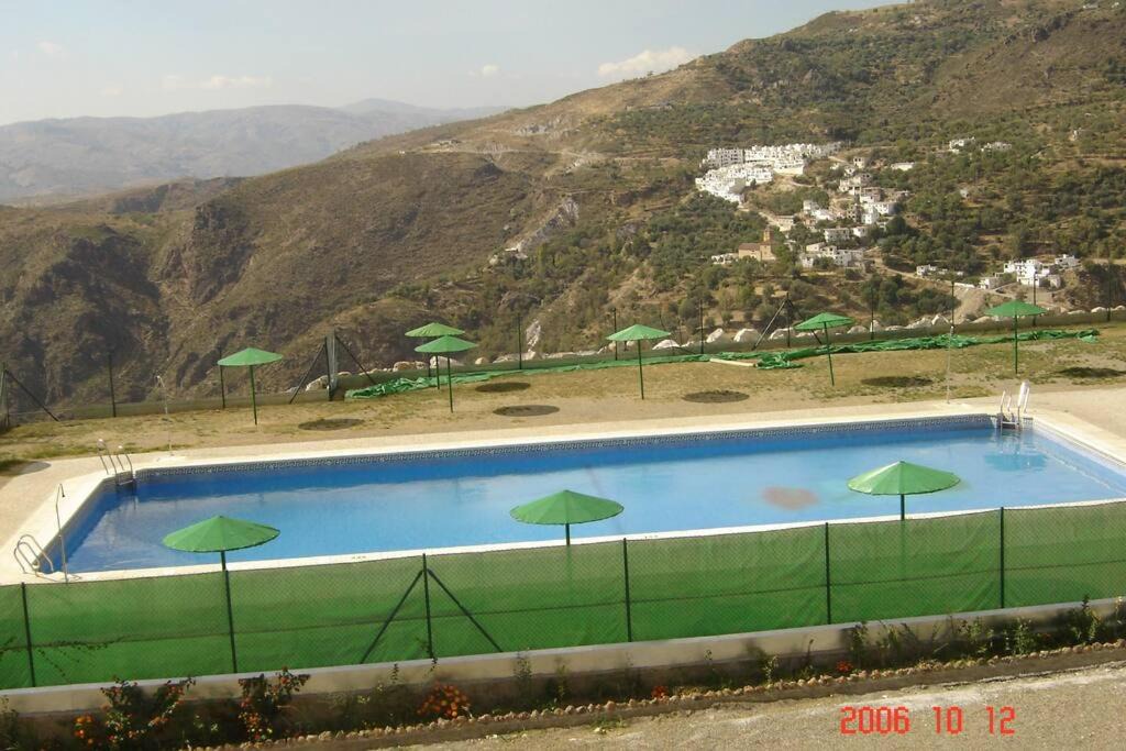 Photo of Others in Yegen