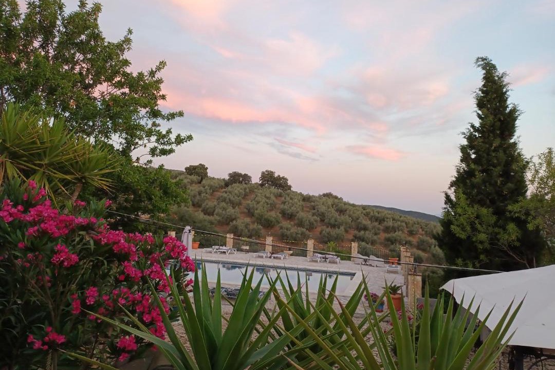 Photo of Others in Algarinejo