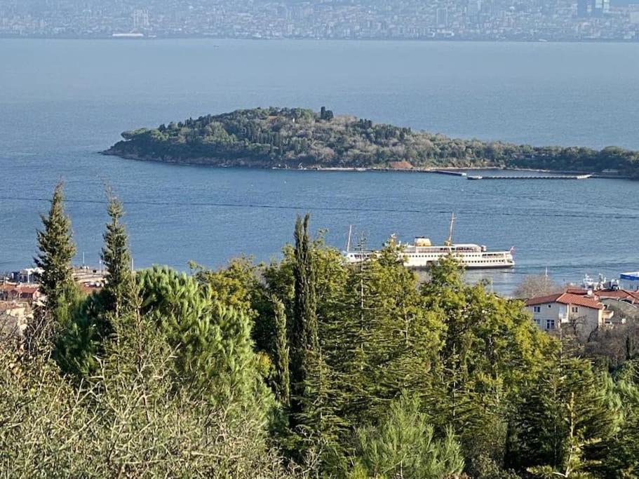 Photo of Others in Adalar